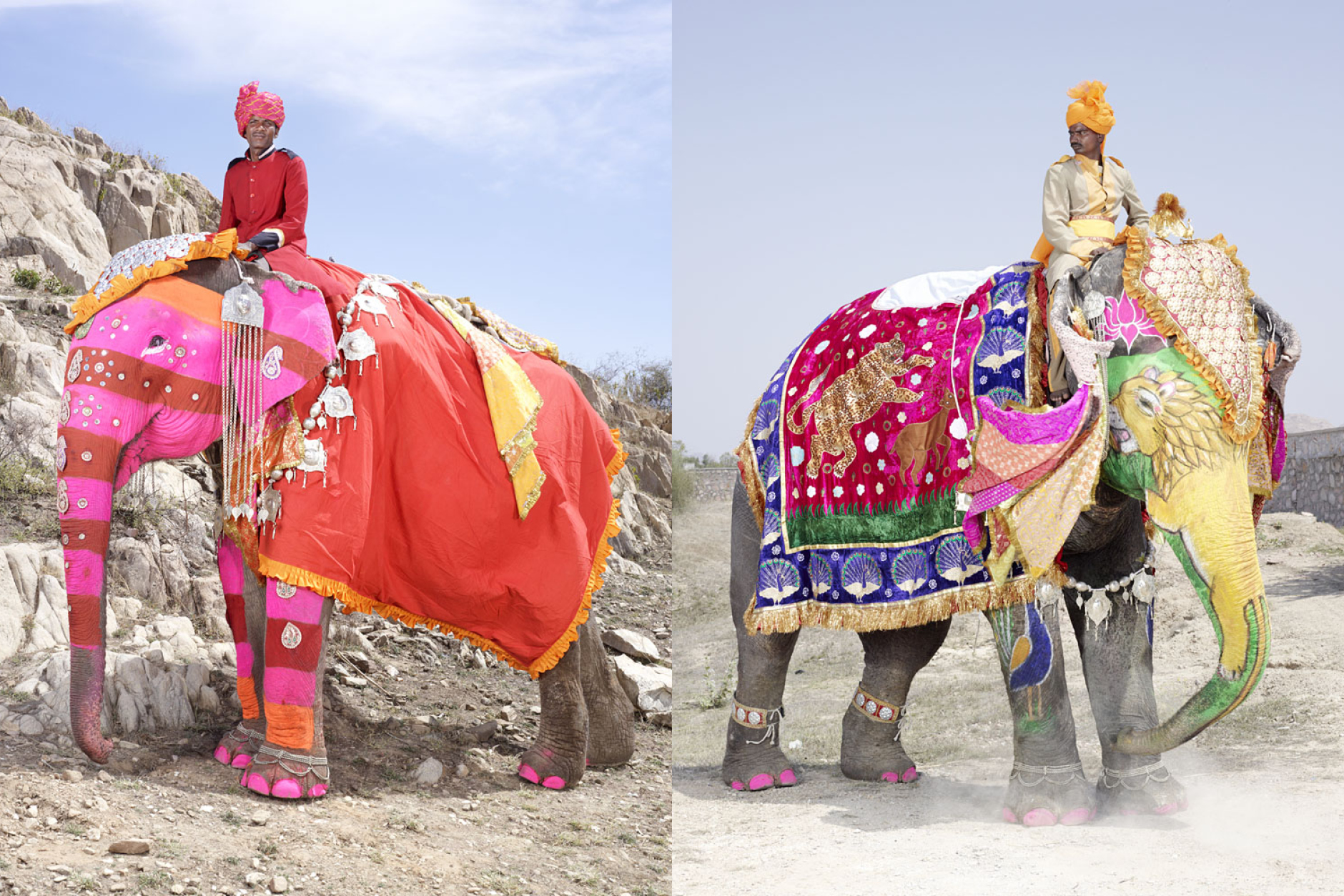 Journal Charlesfreger