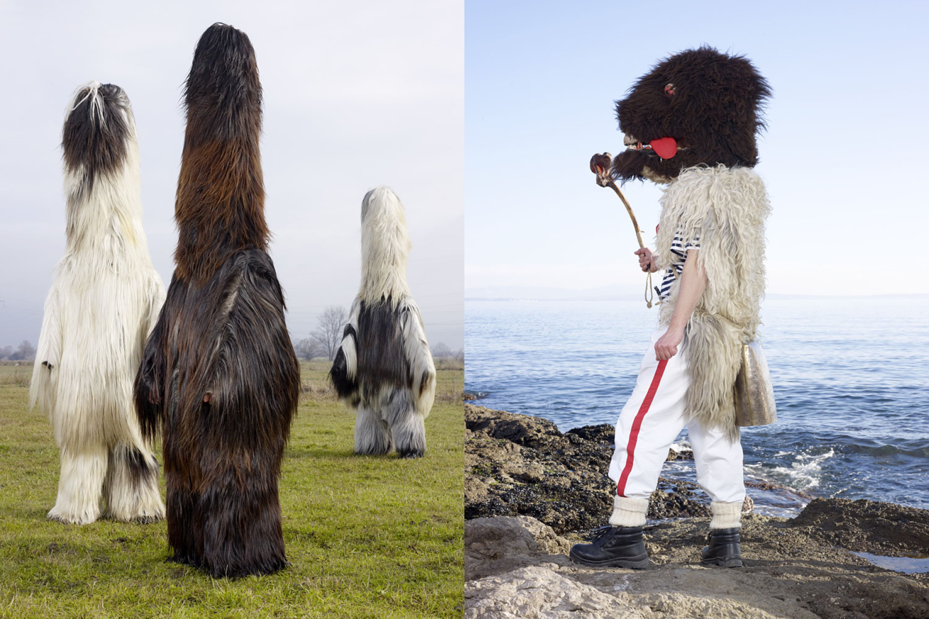 Journal Charlesfreger