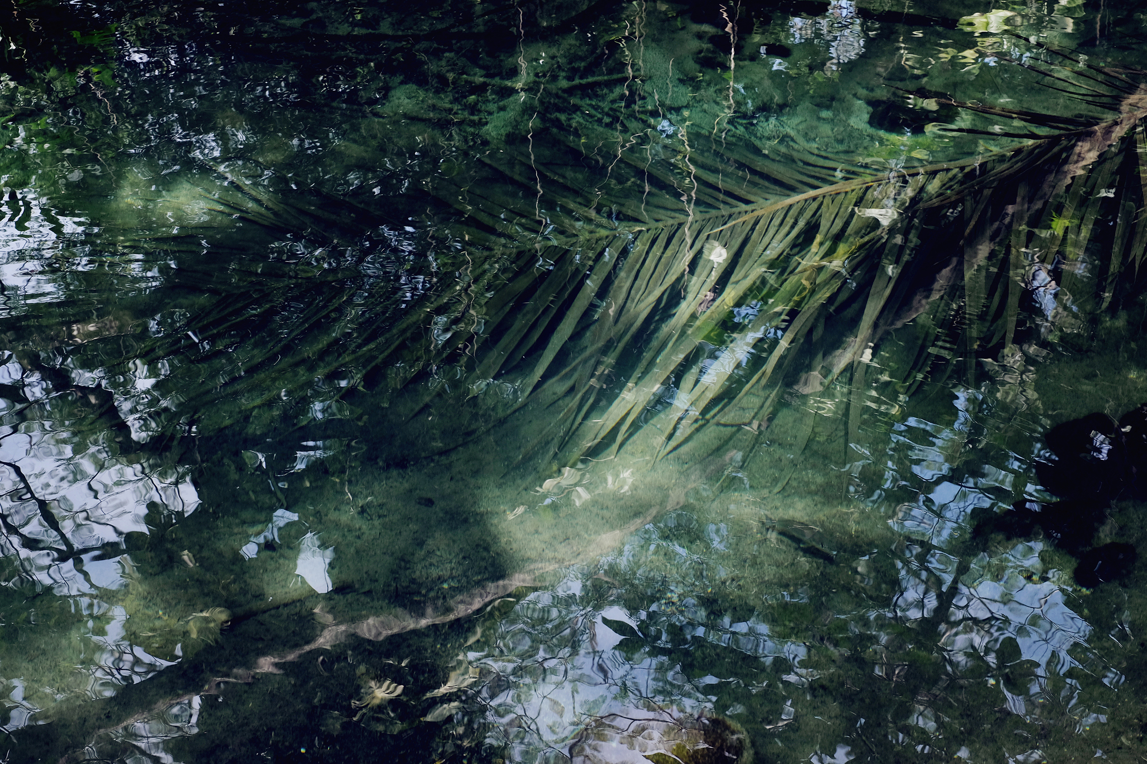 MYKITA SUNGLASSES ONLINE SHOP MYKITA EYEWEAR