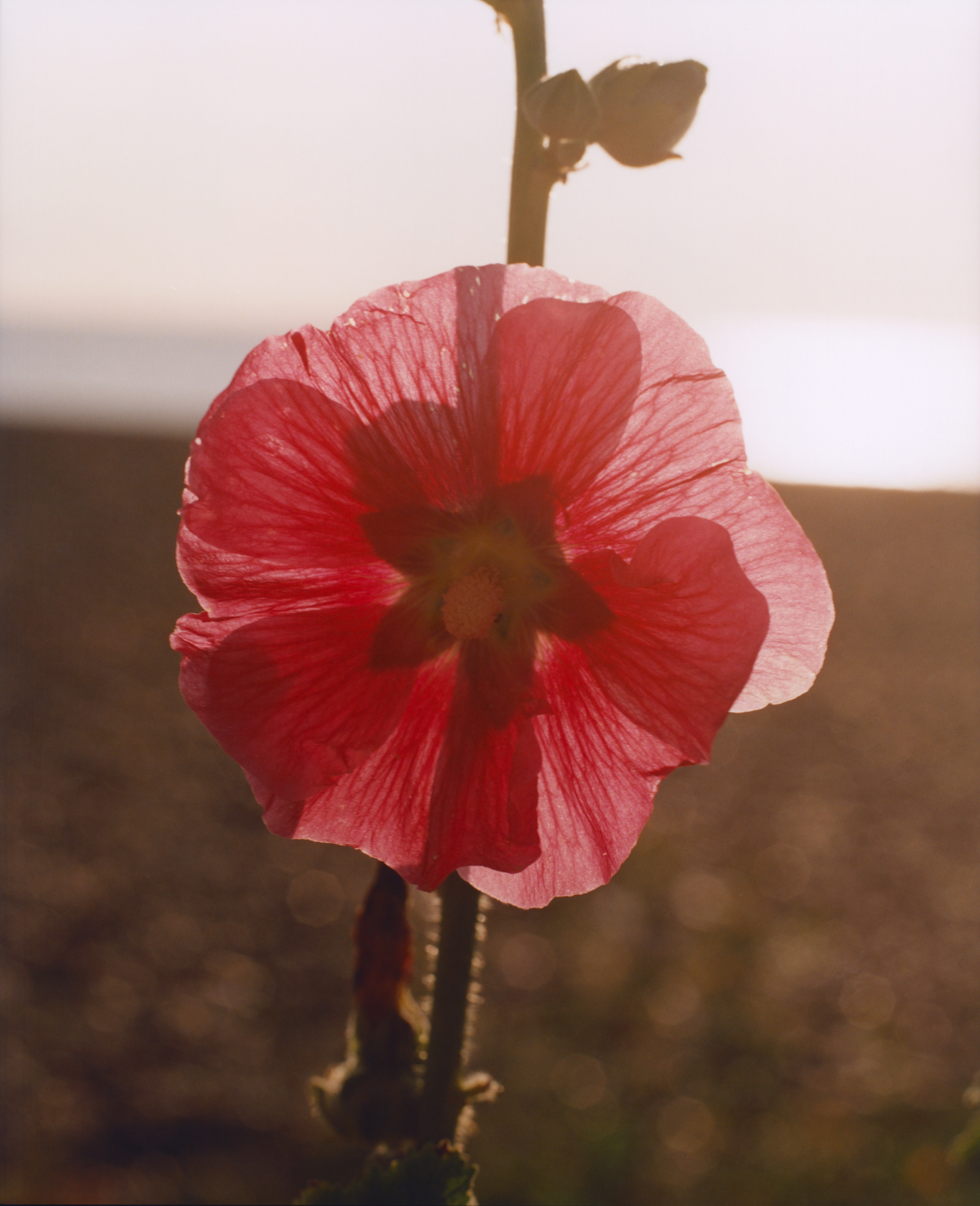 MYKITA Campaign Mood