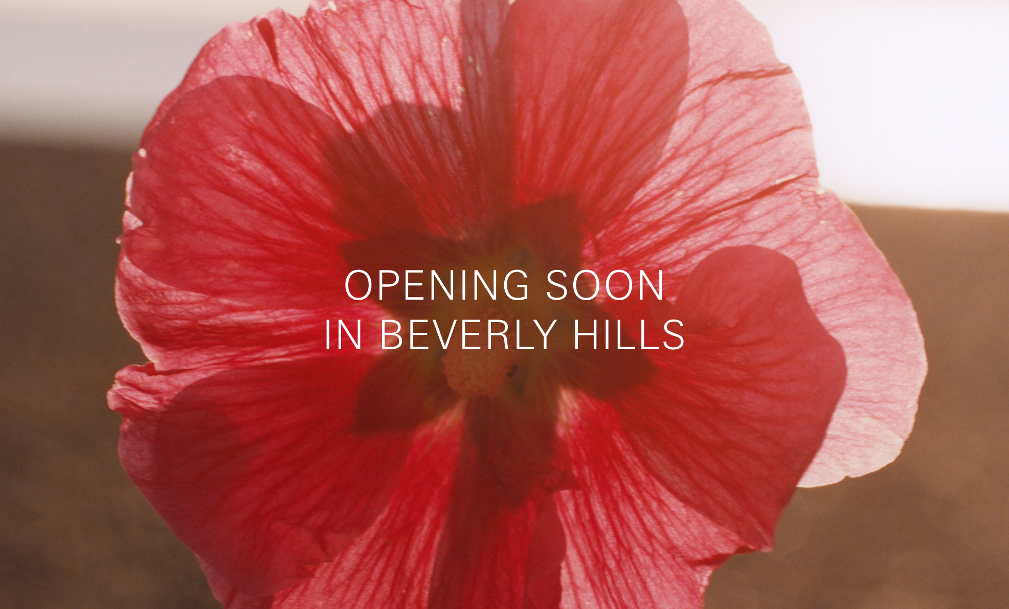 MYKITA Store La Opening Soon Desk