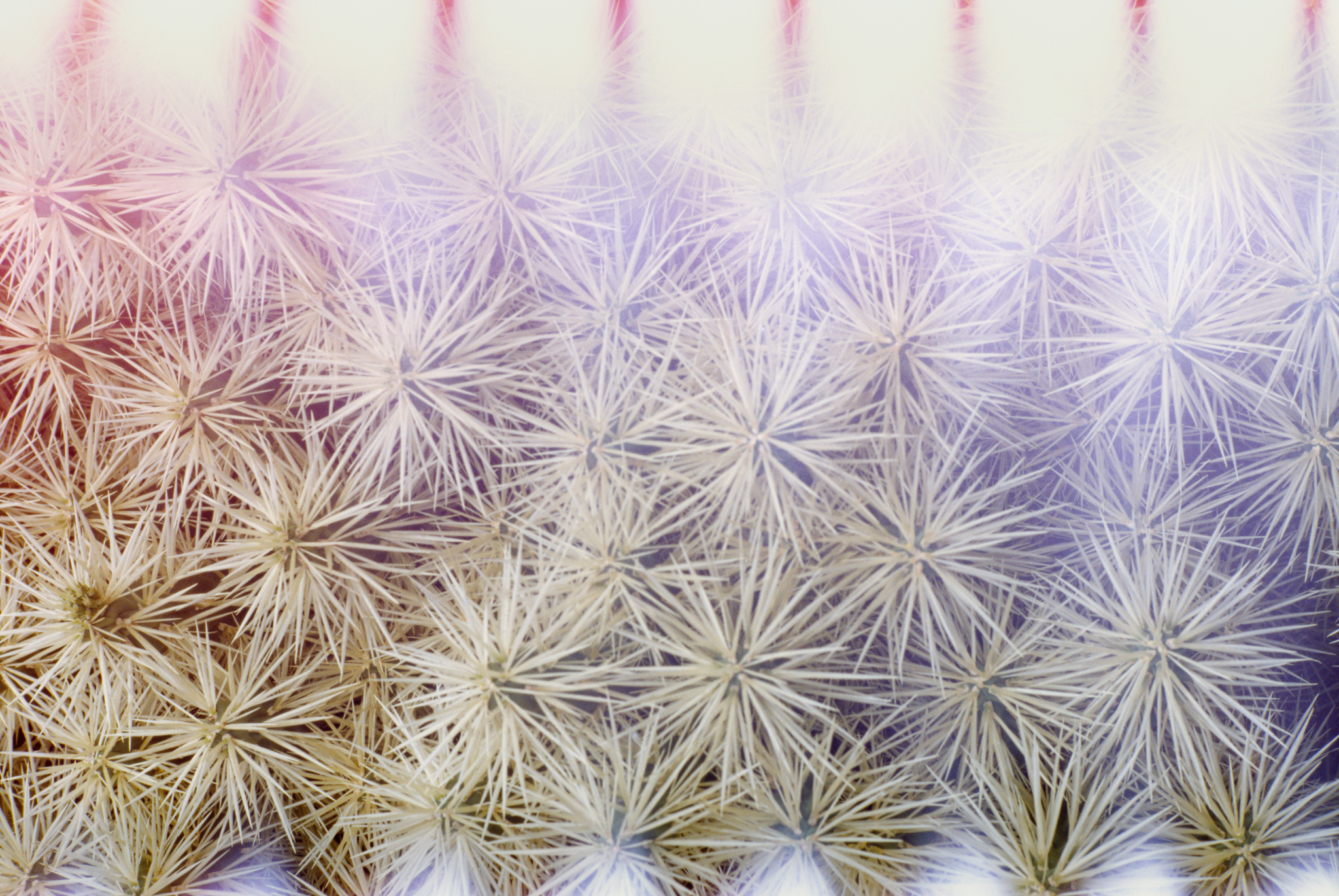 MYKITA Campaign Borthwick Mood