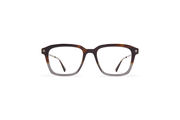 Frame: C9 Santiago Gradient/Shiny Gra