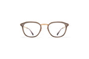 Frame: A83-Champagne Gold/Clear Ash
