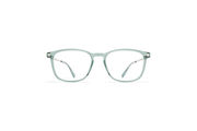 Frame: C191 Cypress Green/Shiny Silv