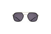 Frame: A81-Shiny Silver/Black
Glas: Coolgrey Solid