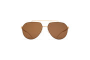 Frame: Leica Light Champagnegold
Glas: Leica Brown 85 Solid