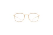 Frame: Leica Light Champagnegold