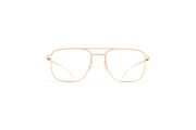 Frame: Leica Light Champagnegold