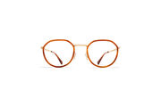 Frame: A99-Champagnegold/Soft Havana