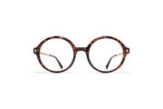Frame: C220-Amber Havana/Champag Gold