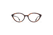 Frame: C222 Amber Havana/Pearl