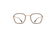 Frame: A83 Champagne Gold/Clear Ash