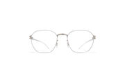 Frame: Cashmere Silver/Shiny Silver