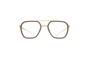 Frame: A83 Champagne Gold/Clear Ash