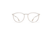 Frame: A41 Shiny Silver/Champagne