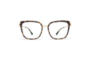 Frame: A38 Champagne Gold/Antigua
